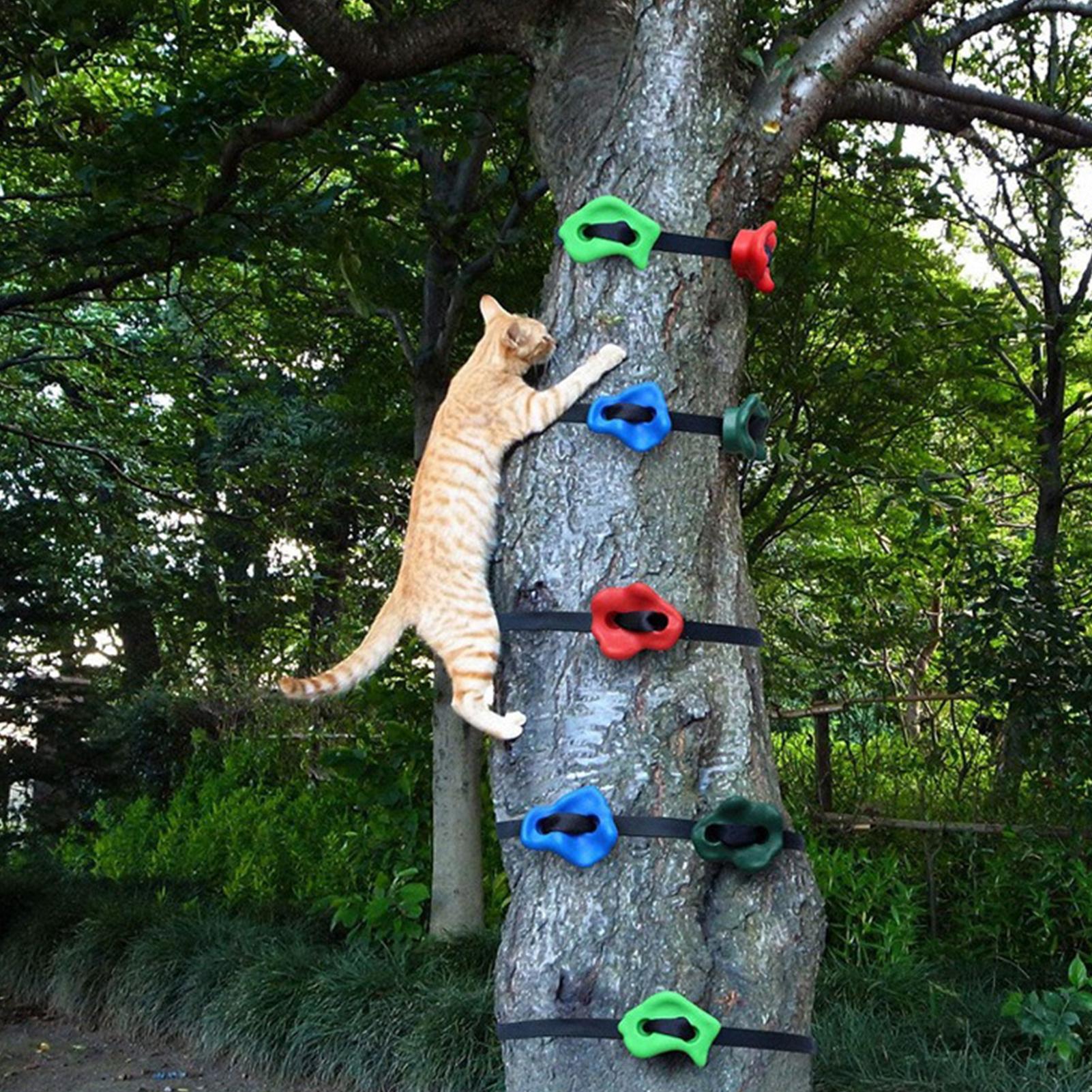 Outdoor Climbing Toys Adjustab - đánh giá và giá Heavy Equipment Course